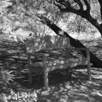 Sedona Botanical Garden Bench