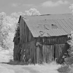 Old Barn 6