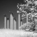 Columns Black and White 1